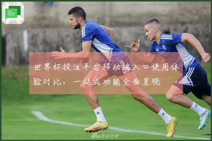 世界杯投注平台移动端入口使用体验对比，一站式功能全面呈现