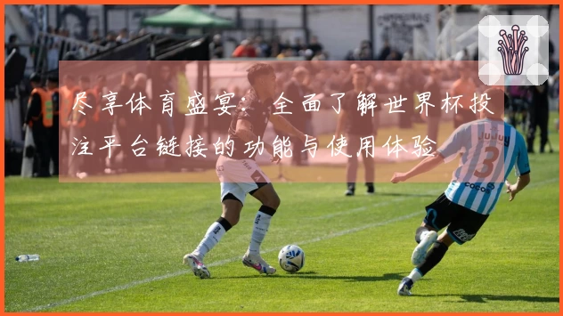 尽享体育盛宴：全面了解世界杯投注平台链接的功能与使用体验