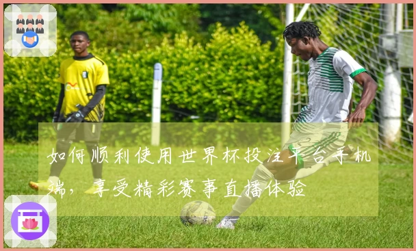 如何顺利使用世界杯投注平台手机端，享受精彩赛事直播体验