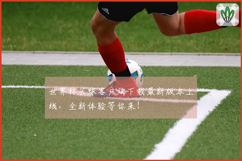 世界杯买球客户端下载最新版本上线,全新体验等你来!